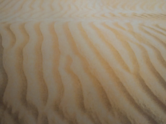 1551239839717268.png 图片1.png
