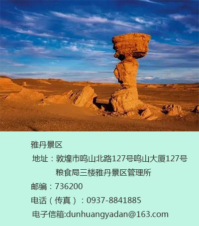 02.jpg