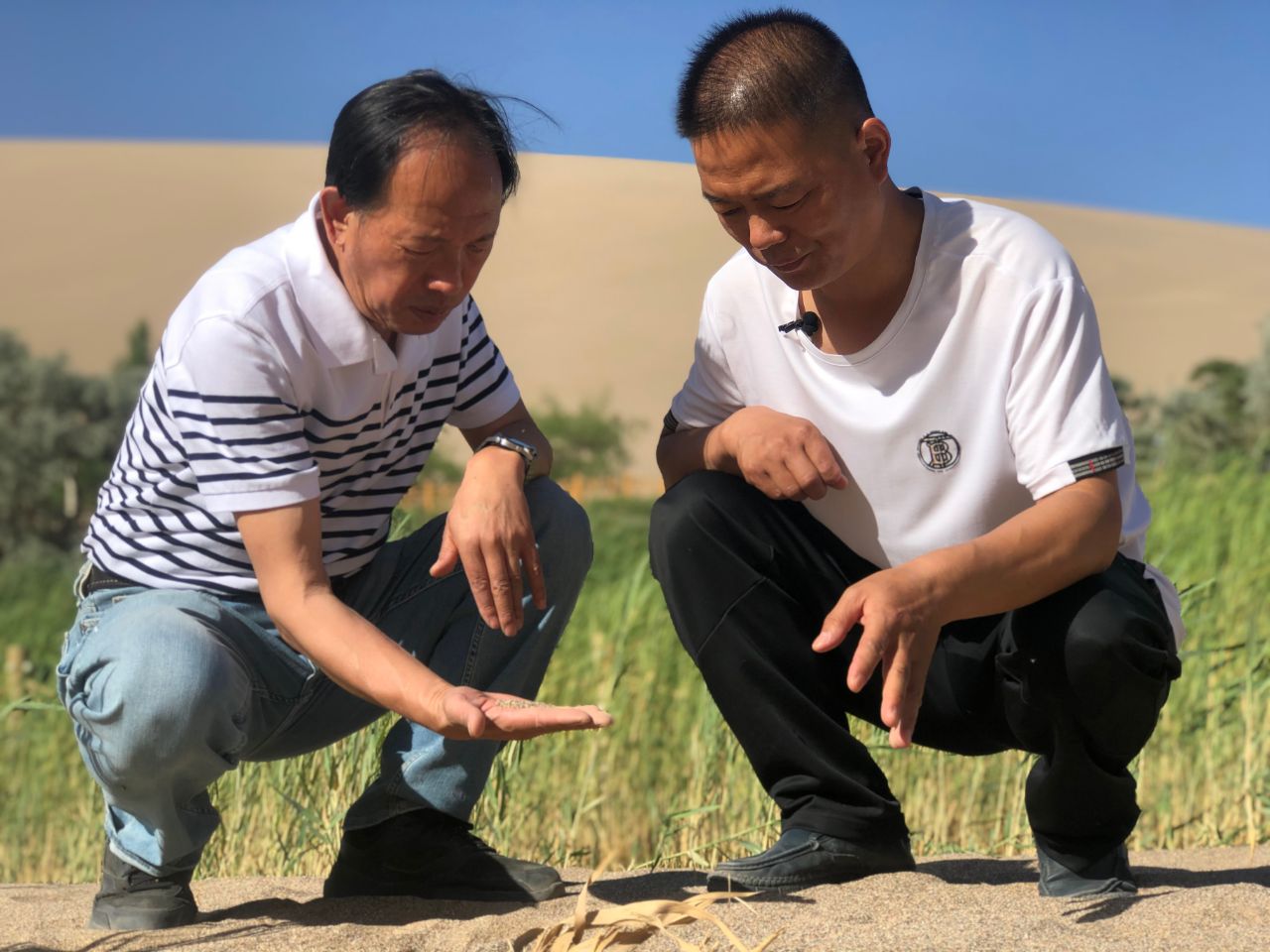 敦煌世界地质公园的科学研究史及主要研究成果
