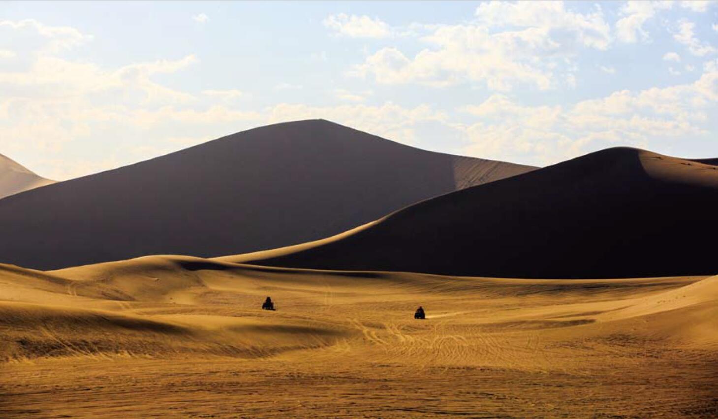 Dune Types